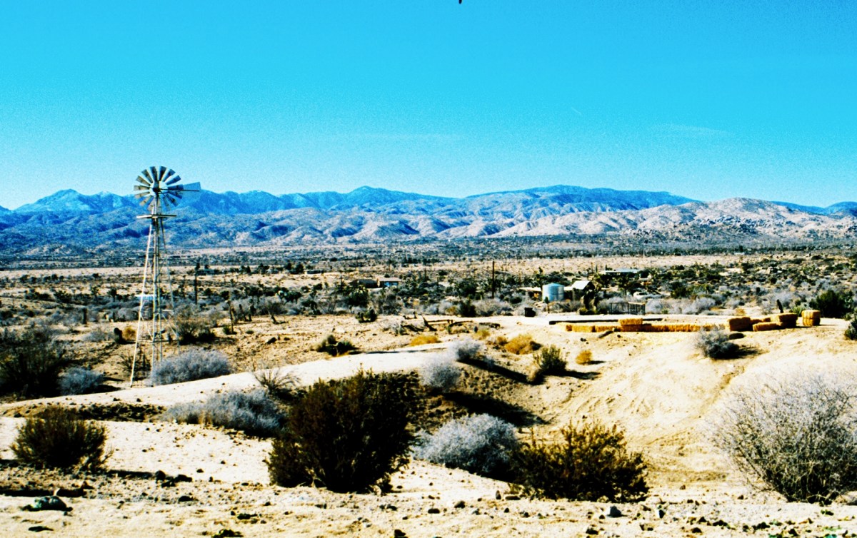 The View from the Sacred Bones Rented Ranch in Yucca Valley, CA.