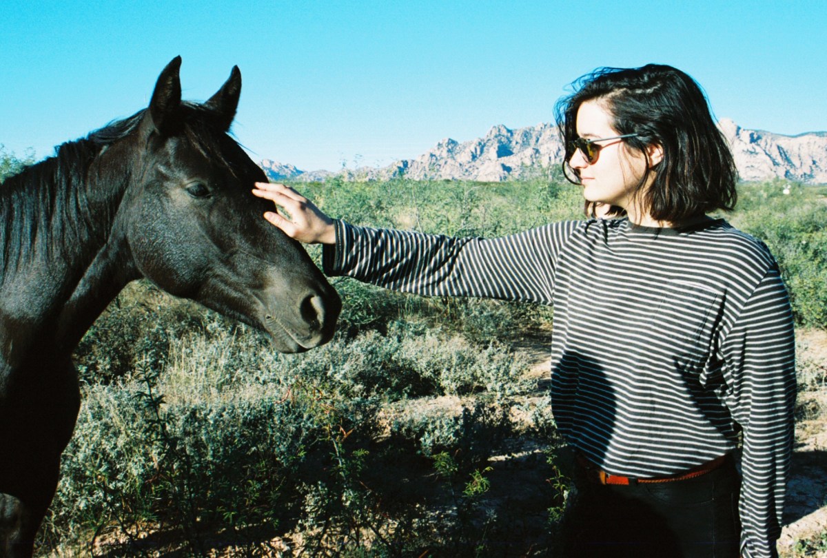 WE CAME ACROSS SOME ROAMING HORSES.
