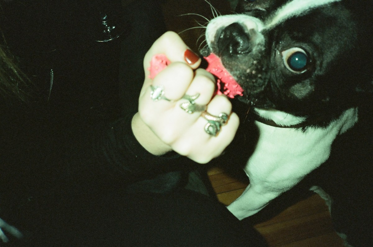 A very nice pup, Ottawa. 